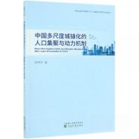 正版新书]中国多尺度城镇化的人口集聚与动力机制杨传开97875218
