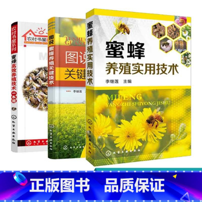 [正版]共3册 养蜂指南书籍 蜜蜂高效养殖技术一本通 实用技术 关键技术 蜜蜂养殖技术大全书籍 科学饲养蜜蜂教程蜜蜂繁