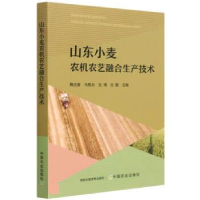 正版新书]山东小麦农机农艺融合生产技术鞠正春9787109289659