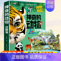 [超大开本]神奇的动物3D立体书 [正版]太空立体书儿童3d立体书6-8岁以上10岁揭秘系列翻翻书绘本故事书3一6宝宝机