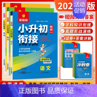 [2024-小升初衔接]语数英 套装-3本 小学升初中 [正版]2024新江苏省小学毕业升学考试试卷精选28套实验班小升