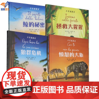 正版少年探险家系列图书全愤怒的大象拯救大猩猩鲸的秘密狼群危机童书6-12岁儿童文学侦探冒险科普知识亲子环球探险小说青