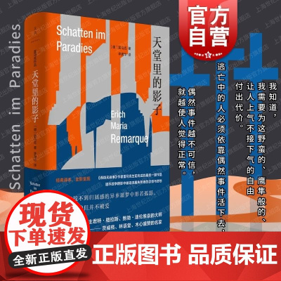 天堂里的影子 雷马克作品二战故事另著有西线无战事伙伴进行曲凯旋门爱与死的年代 上海人民出版社