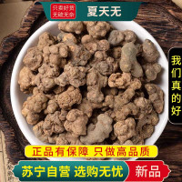 甄选夏天无100克夏干货正品煮水泡茶天无正品夏天无新货另售怀牛膝独活