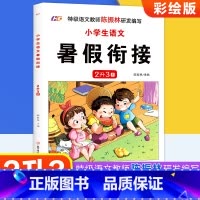 无颜色 二升三 [正版]小学生语文暑假衔接2升3