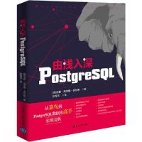 正版新书]由浅入深PostgreSQL[奥] 汉斯·尤尔根·舍尔希 彭煜玮97