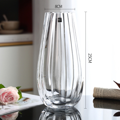 北欧轻奢玻璃花瓶透明彩色水培富贵竹百合家用客厅装饰插花瓶摆件（鹅蛋款）透明大