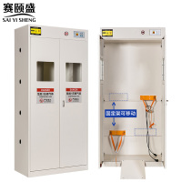 赛颐盛气瓶柜双瓶二代报警器台