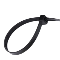 百晟长恒BSCH-ZD002 3mm*250mm尼龙扎带250条/包(计价单位:包) 黑色