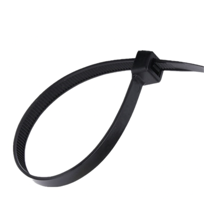 百晟长恒BSCH-ZD002 3mm*250mm尼龙扎带250条/包(计价单位:包) 黑色