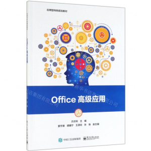 Office高级应用(应用型特色规划教材)