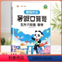 [正版]五升六暑假衔接口算天天练 五年级下册六年级上册2023年新版人教版5升6小学生数学笔算口算题卡速算专项强化训