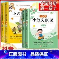 [全4册]小散文+小古文100课 小学通用 [正版]小学生小散文100课上下册 小古文100篇 小学散文读本小学生必背古