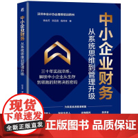 中小企业财务 从系统思维到管理升级 杨金芳 邹函宸 杨燕芳 机械工业出版社9787111785125