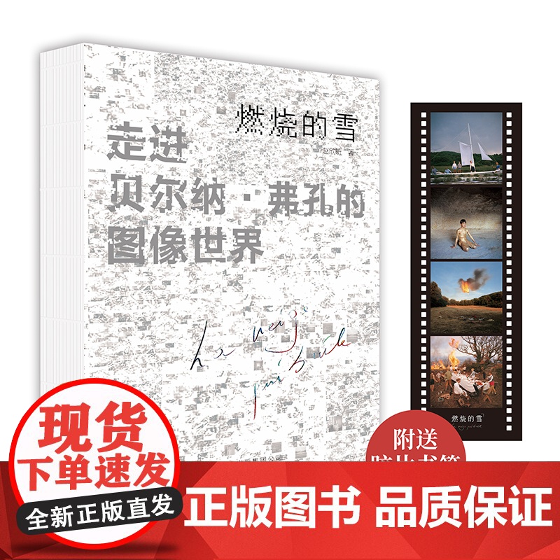 燃烧的雪:走进贝尔纳·弗孔的图像世界 赵欣昕著书籍