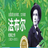 [M]法布尔昆虫记绘本 彩绘注音版(全10册)-9787549242146