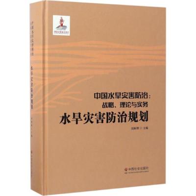 正版书-中国水旱灾害防治：战略、理论与实务（水旱灾害防治规划）9787508754864中国社会出版社