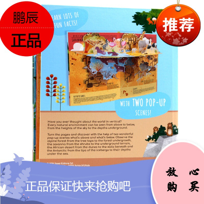Nature自然风貌英文原版绘本Pop-up立体书地上地下全景剧场立体图儿童STEAM科普书