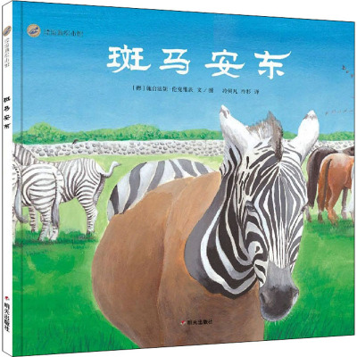 斑马安东/漂流瓶绘本馆