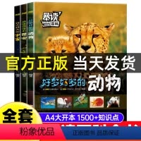 动物+昆虫 +宇宙[全三册] [正版]暴读百科全套3册小学生科普课外阅读书昆虫动物宇宙儿童趣味百科知识全书少儿启蒙绘本好