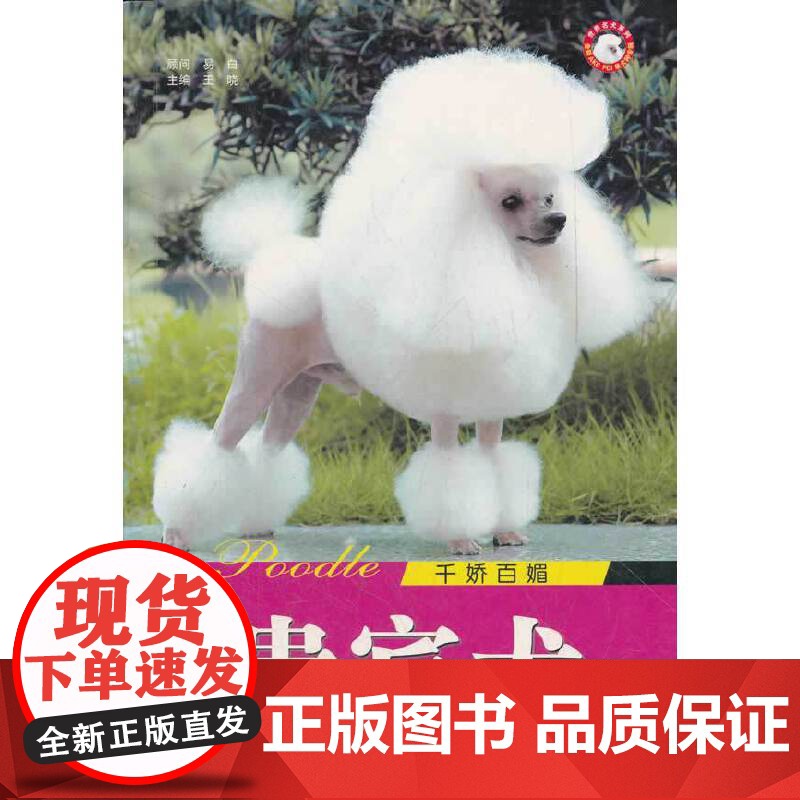 千娇百媚贵宾犬/世界名犬系列