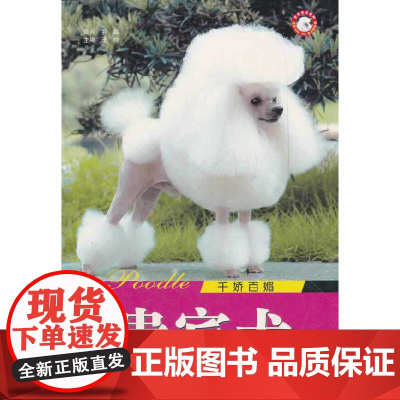 千娇百媚贵宾犬/世界名犬系列