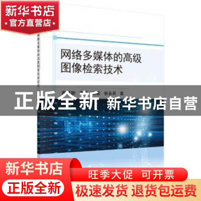 正版 网络多媒体的高级图像检索技术 颜成钢,李亮,高跃,张永兵