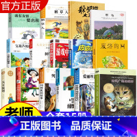 全套15册 三年级必读 [正版]时代广场的蟋蟀不老泉文库三年级四年级必读课外书小学生时代广场上的蟋蟀二十一世纪出版社新蕾