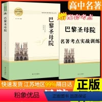 巴黎圣母院 [正版]巴黎圣母院雨果文集精选名著阅读课程化丛书智慧熊高中通用世界名著青少年版经典文学阅读国外小说基础配