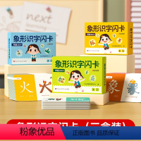 象形识字卡三册 [正版]时光学 幼儿象形识字闪卡幼儿园专注力划消卡儿童小学生图形认知记忆力幼小衔接早教教具基础进阶强化全
