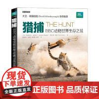 猎捕BBC动物世界生存之战 阿拉斯泰尔·福瑟吉尔等 著 生物世界