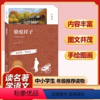 骆驼祥子(珍藏版) [正版]四大名著全套小学生版原著必读小学初中阅读课外书西游记三国演义水浒传红楼梦朝花夕拾昆虫记海底两