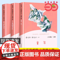 当当正版书籍 快乐读书吧六年级上册人教版全套共3册童年爱的教育小英雄雨来六上人民教育出版社小学生课外阅读书籍小学语文