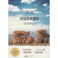 醉染图书援疆青春赞歌9787546154886