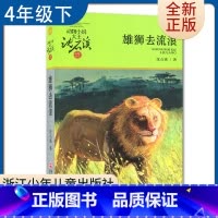 [正版]雄狮去流浪 好书伴我成长四年级下册选读书 4年级下好书 动物小说大王沈石溪. 品藏书系 小学阅读书目 南通发