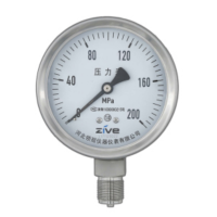 ZIVE 超高压压力表ZIVE-1306461