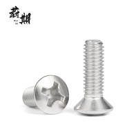 蔚期 GB820不锈钢十字半沉头螺钉 M5*16 个