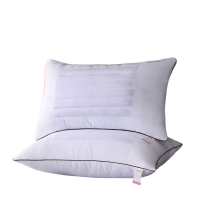 晋狼 荞麦纤维两面用枕芯 48cm*62cm 只