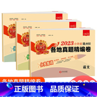[通用版]小升初真题卷 语文数学英语 小学升初中 [正版]2023新版王朝霞小升初重点校各地真题精编卷语文数学英语人教版