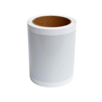 鑫诚达 NS-S15N 110mmx10m 标签纸 亚银 (计价单位:盒)