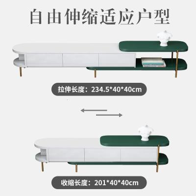 北欧轻奢可伸缩电视柜小户型简约金属茶几电视柜组合样板间