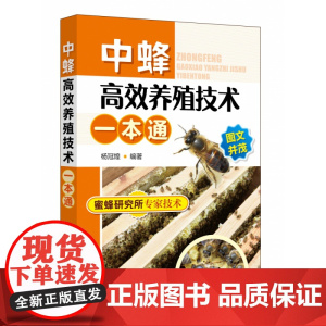 中蜂高效养殖技术一本通