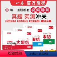语数英 [正版]2024小升初冲刺新卷语文数学英语人教版小升初真题卷六年级下册试卷测试卷全套专项训练总复习分类卷子名校考