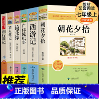 白洋淀纪事七年级上册 [正版]七年级上册朝花夕拾西游记白洋淀纪事镜花缘猎人笔记htwx初中生课外阅读写作素材积累国内国外