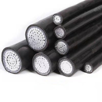 JINTE 铝芯交联聚乙烯电缆JKLYJ1×240 米