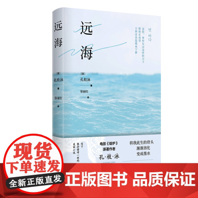 远海 孔枝泳著 电影《熔炉》原著作者 “将我此生的骨头渐渐溶化,变成墨水” 韩国文学 外国小说书籍