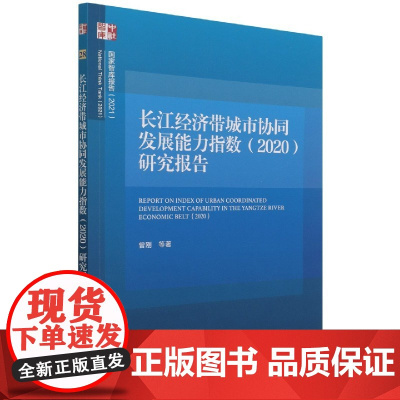 长江经济带城市协同发展能力指数(2020)研究报告/国家