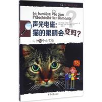 声光电磁:猫的眼睛会变吗?(内含38个小实验)