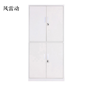 风雷动钢制资料柜档案柜财务凭证柜带锁储物柜铁皮柜书柜通双节文件柜
