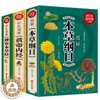 [醉染正版]共3本 黄帝内经本草纲目神农本草经 中医基础理论医学入门药材图鉴大全 常用中草药识别白话图解皇帝内经中医药四